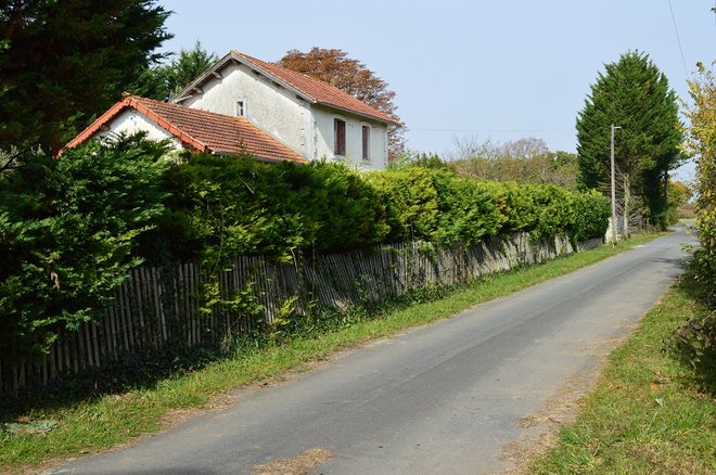 43 DSC_1967.JPG