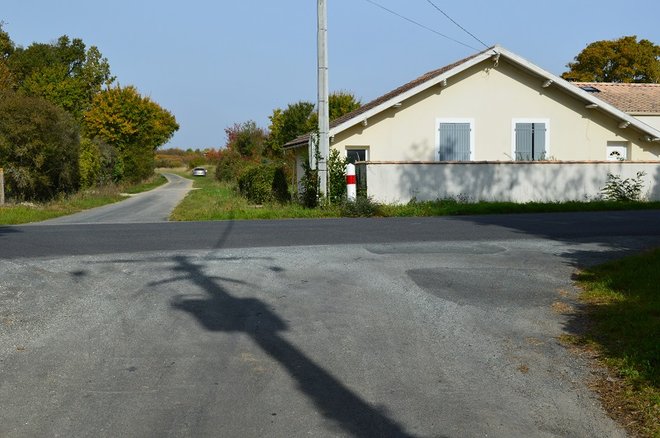 55 DSC_1964.JPG
