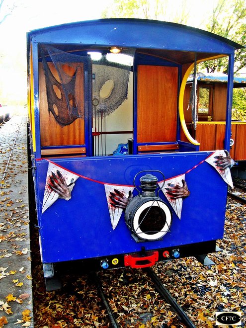 pari express9 (768x1024).jpg