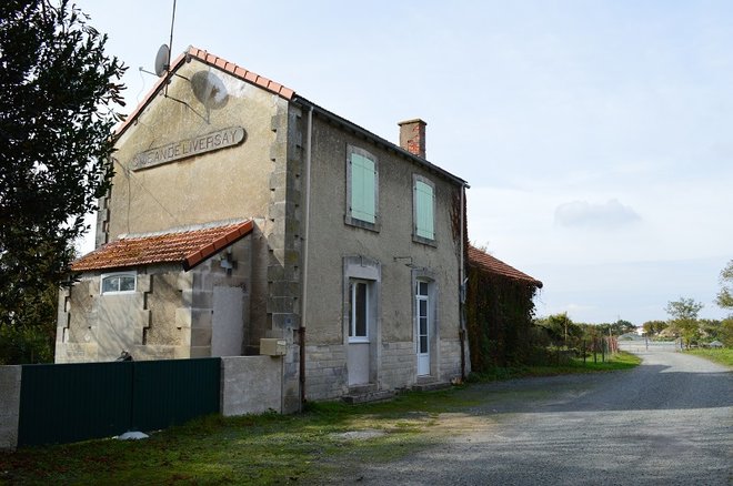 11 DSC_1977.JPG