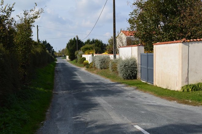 14 DSC_1989.JPG