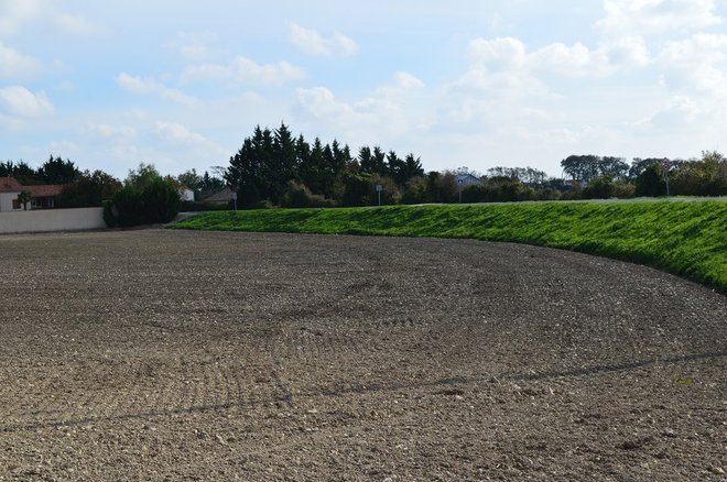 16 DSC_1990.JPG