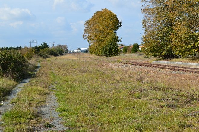 22 DSC_2000.JPG