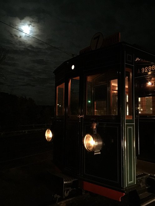 nocturne 2015-1.JPG