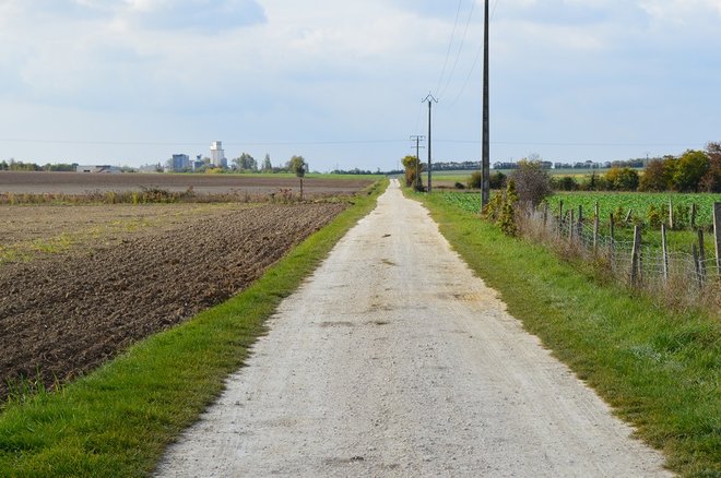 2 DSC_2018.JPG