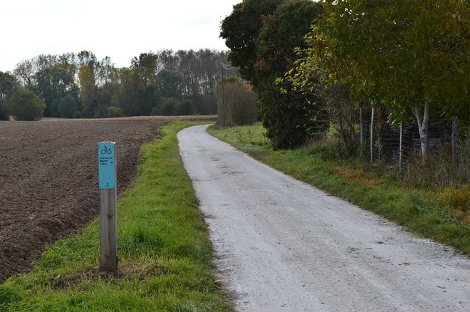 2 DSC_2042.JPG