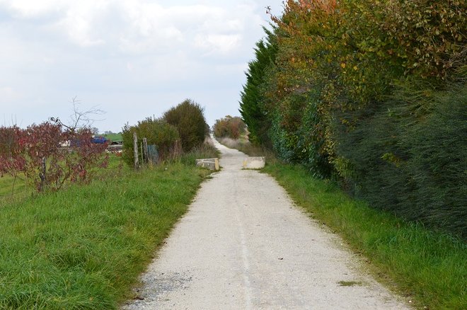 3 DSC_2043.JPG