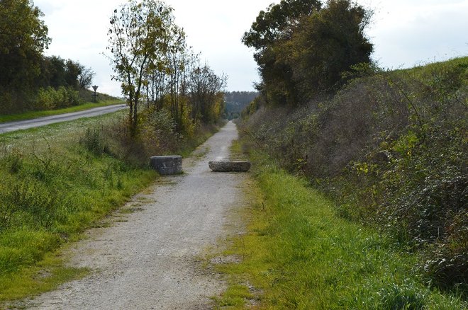 4 DSC_2047.JPG