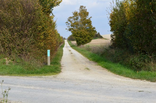 5 DSC_2046.JPG