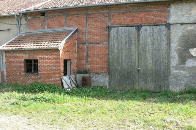 P1110436 (800x531).jpg