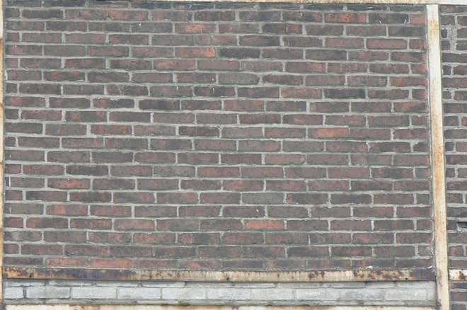 P1110342 (800x531).jpg