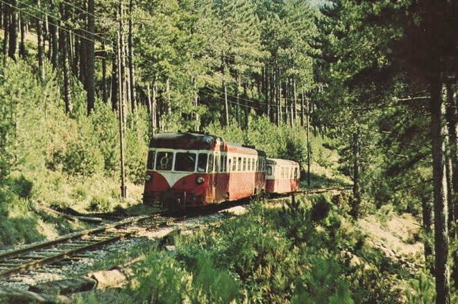 562_001.jpg