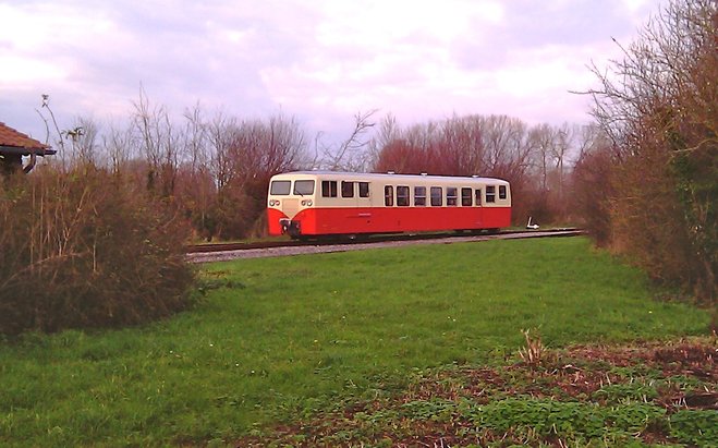 IMAG0491.jpg