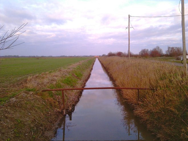 IMAG0489.jpg