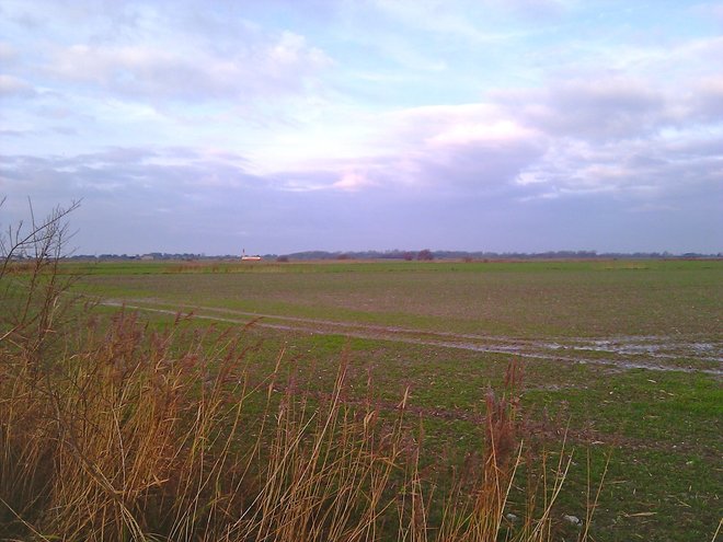 IMAG0488.jpg