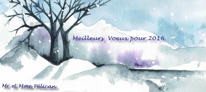voeux 2016 pel.jpg
