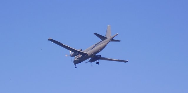 P9080006_2.jpg