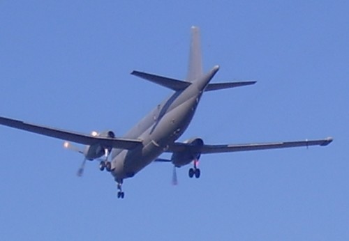 P9080010_2.jpg