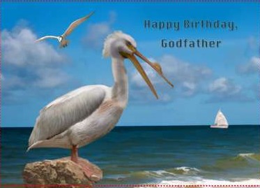 Pelican Godfather..jpg