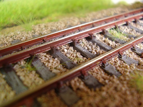 P9110056_2.jpg