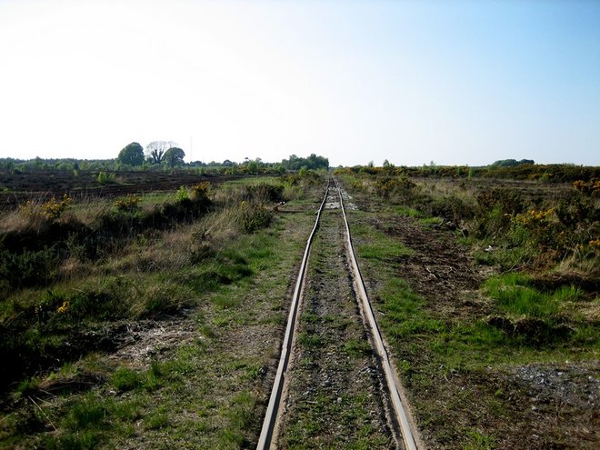 bog cutting (6).JPG