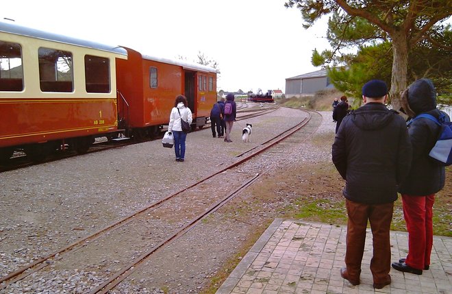 IMAG0504_2.jpg