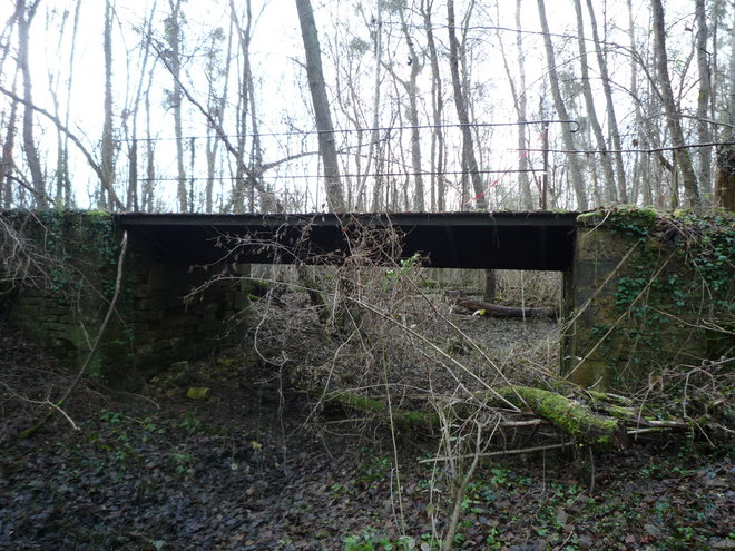 P1110444.JPG