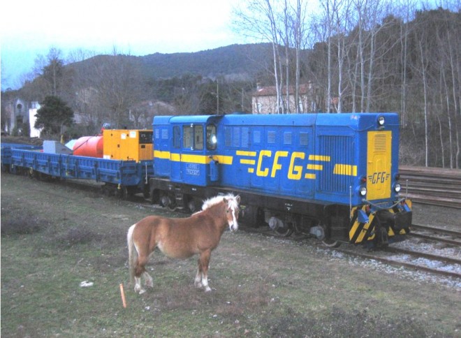 FGR05_2.jpg
