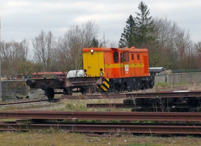 DSC01929.jpg