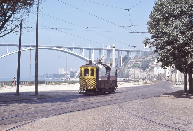 img100.jpg
