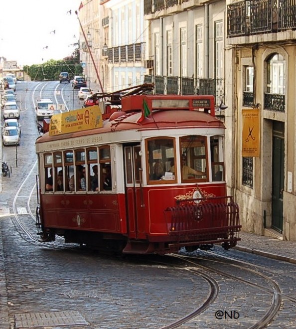 25 09 2011 096.jpg
