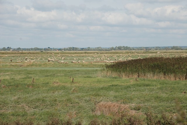 DSC_9170.jpg