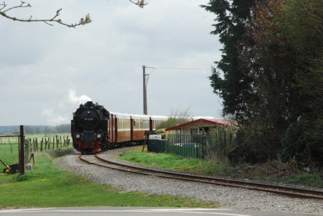 DSC_9843.jpg