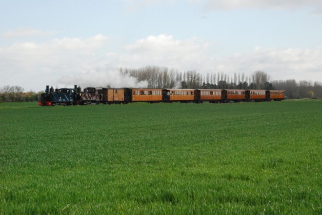 DSC_9797.jpg