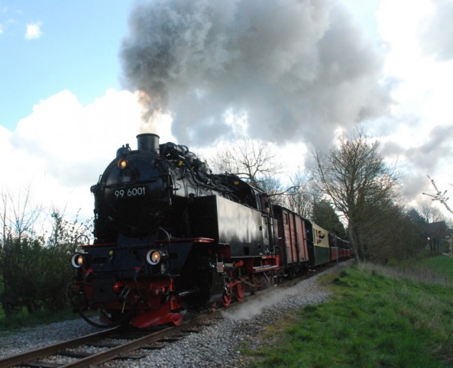 DSC_9976.jpg