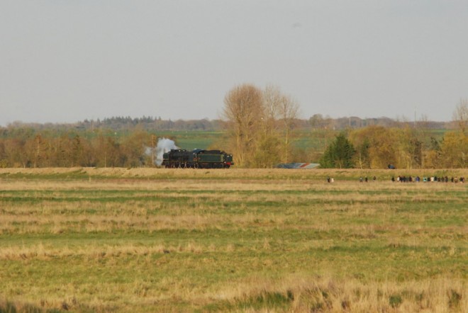DSC_0079.jpg