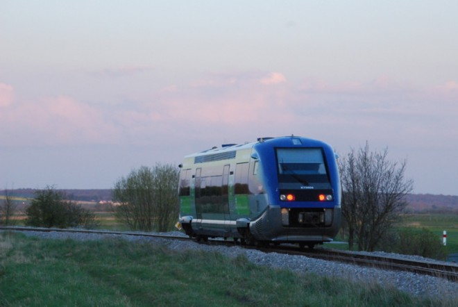 DSC_0133.jpg