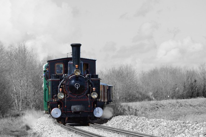 DSC_2725ps.jpg