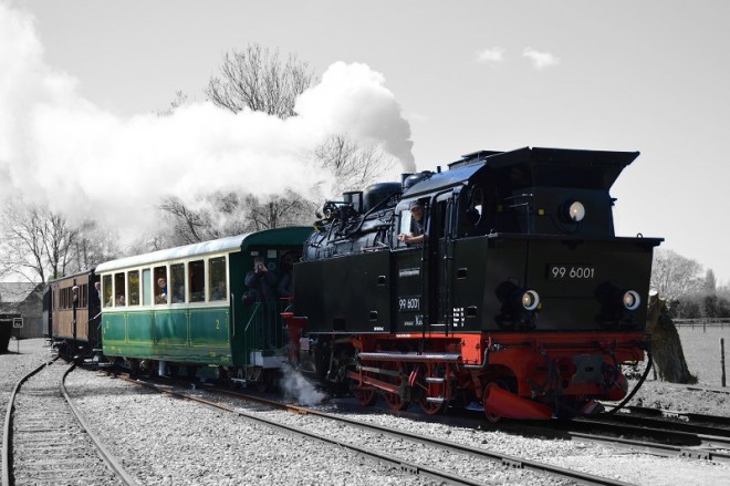 DSC_2813ps.jpg