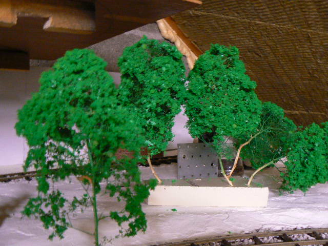 P1140217.JPG