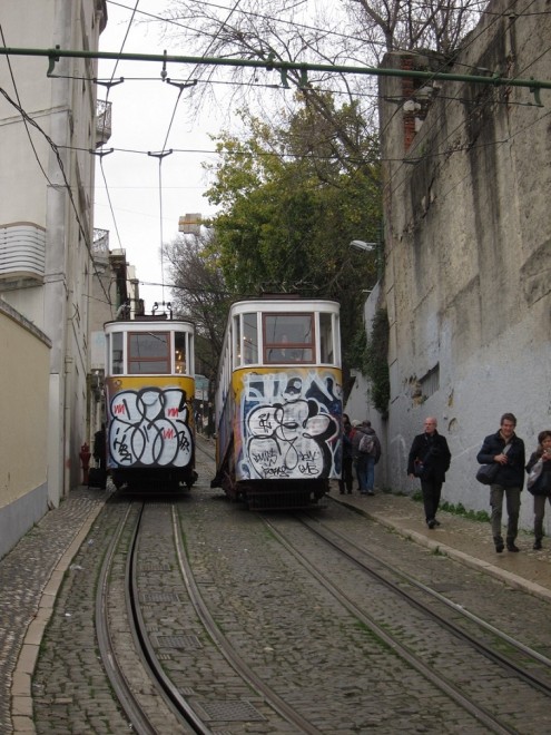 IMG_0216 bis.jpg