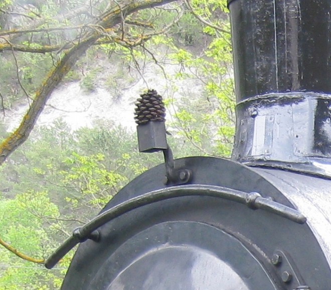 a pigne.jpg
