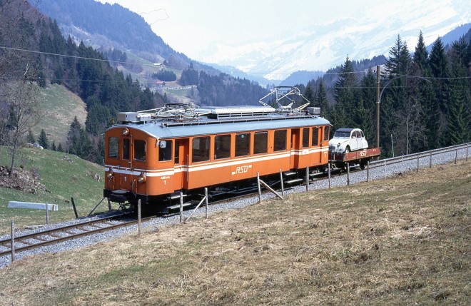 img243.jpg