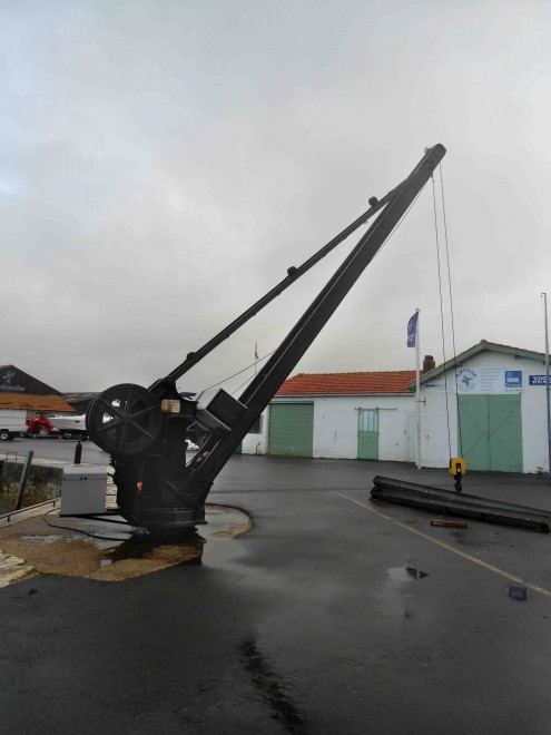 Grue Ouest Ars-en-Ré.jpg