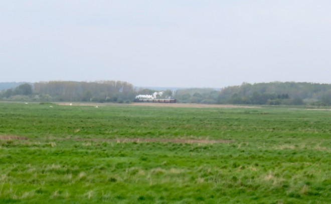 IMG_6649.jpg