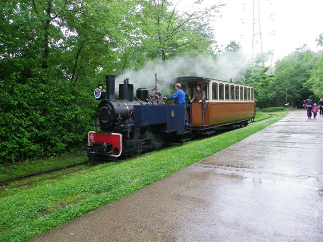 IMGP7423 (Small).JPG