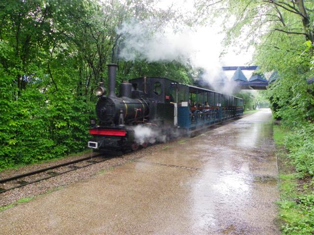IMGP7432 (Small).JPG
