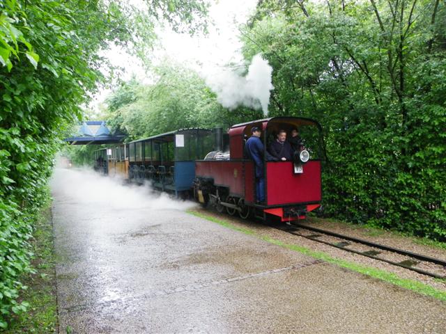 IMGP7436 (Small).JPG