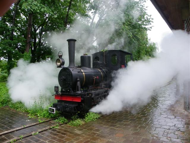 IMGP7448 (Small).JPG