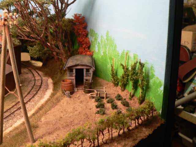 P1090009.jpg